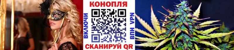 Шишки марихуана тримм  где найти   mega ТОР  Щигры 